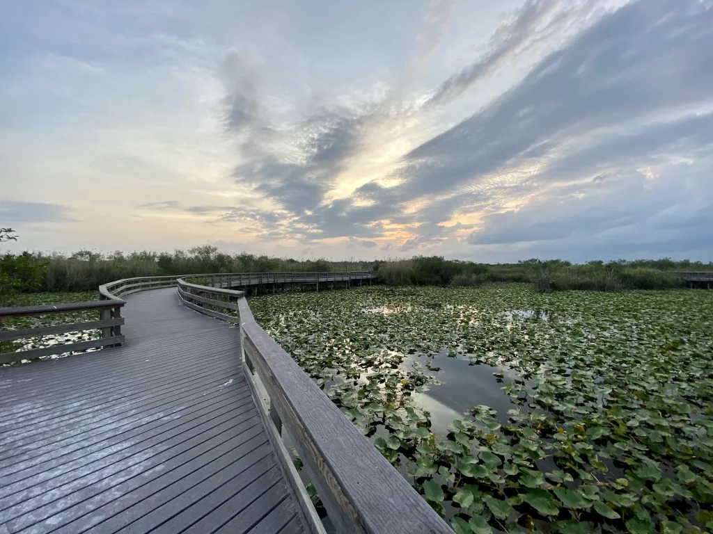 Making time for an Anhinga Trail walk